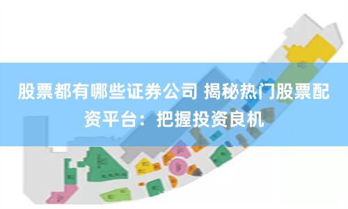 股票都有哪些证券公司 揭秘热门股票配资平台：把握投资良机