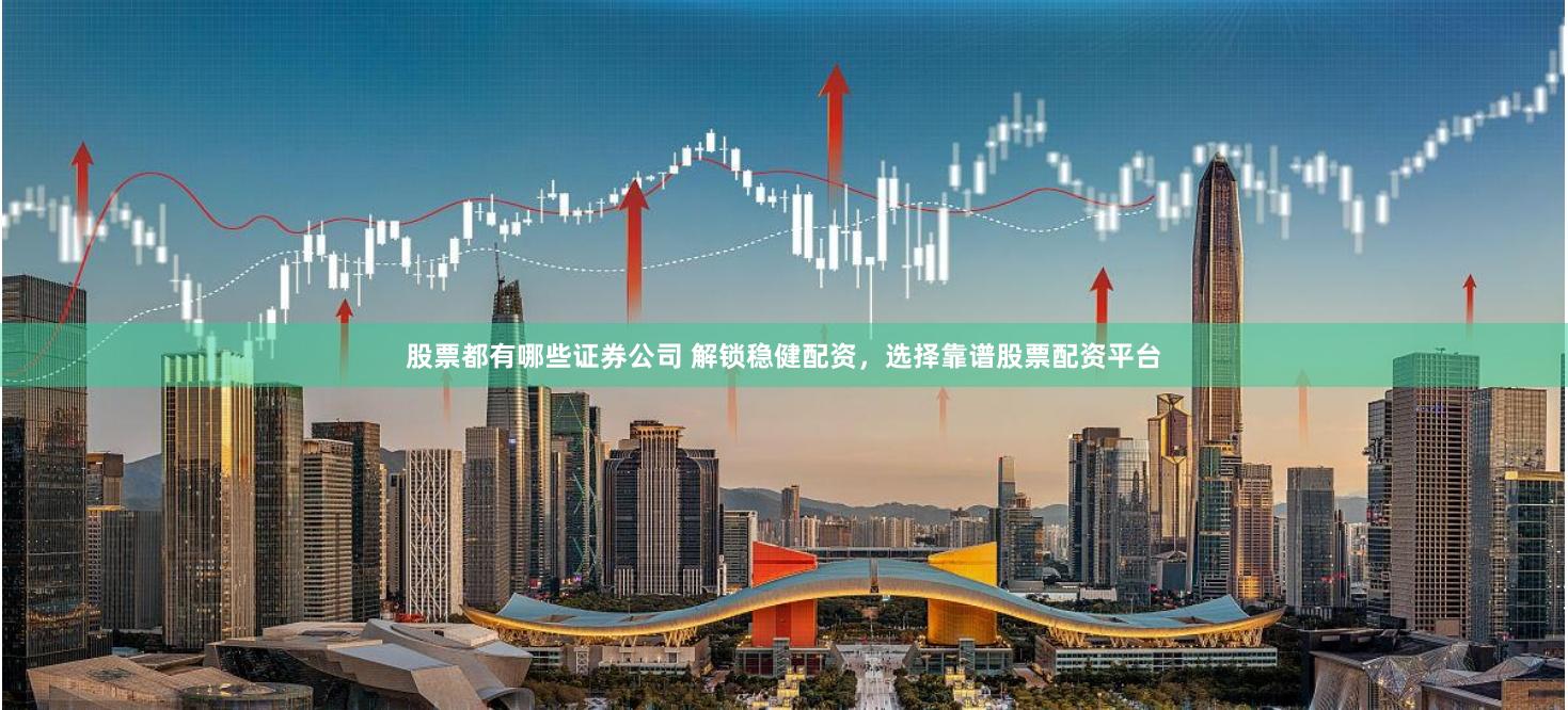 股票都有哪些证券公司 解锁稳健配资，选择靠谱股票配资平台